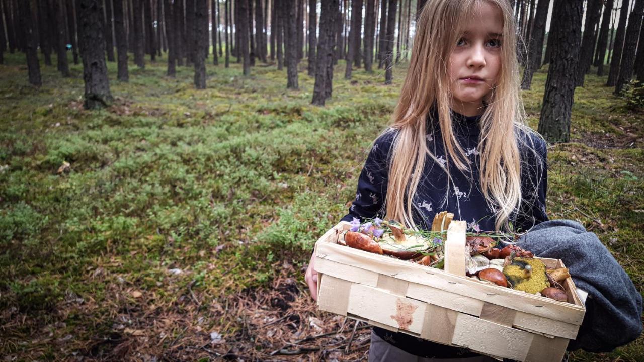 Urzeka Hotel Drzewce  Eksteriør billede